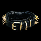 1.37 inch gold spiked collar for medium dogs