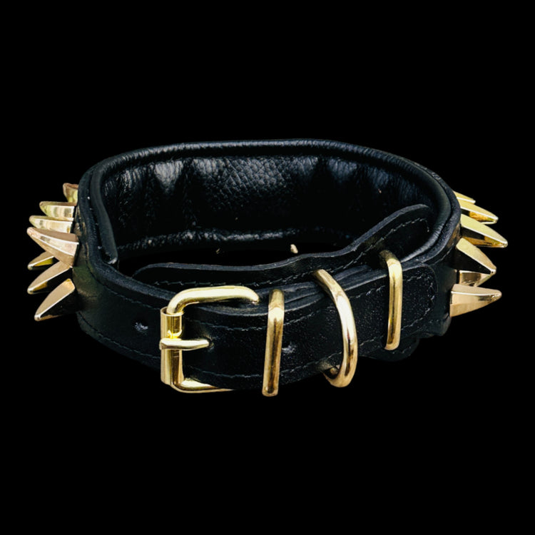 1.37 inch gold spiked collar for medium dogs