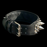 Cane Corso wearing Shadow Spike collar