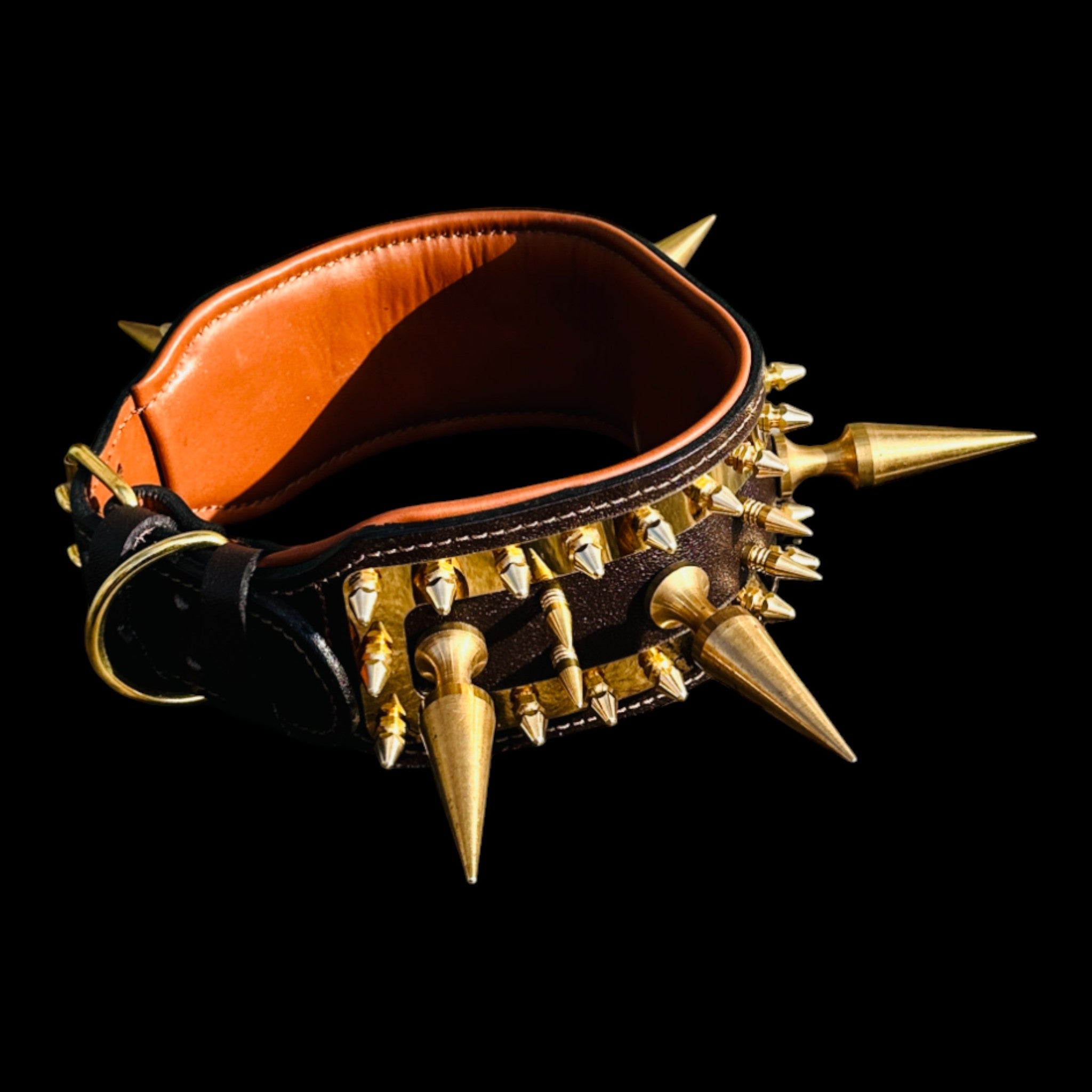 Luxury black leather collar with gold hardware