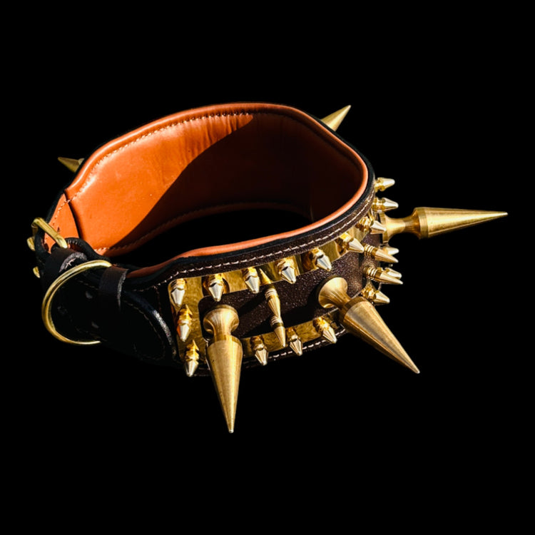 Luxury black leather collar with gold hardware