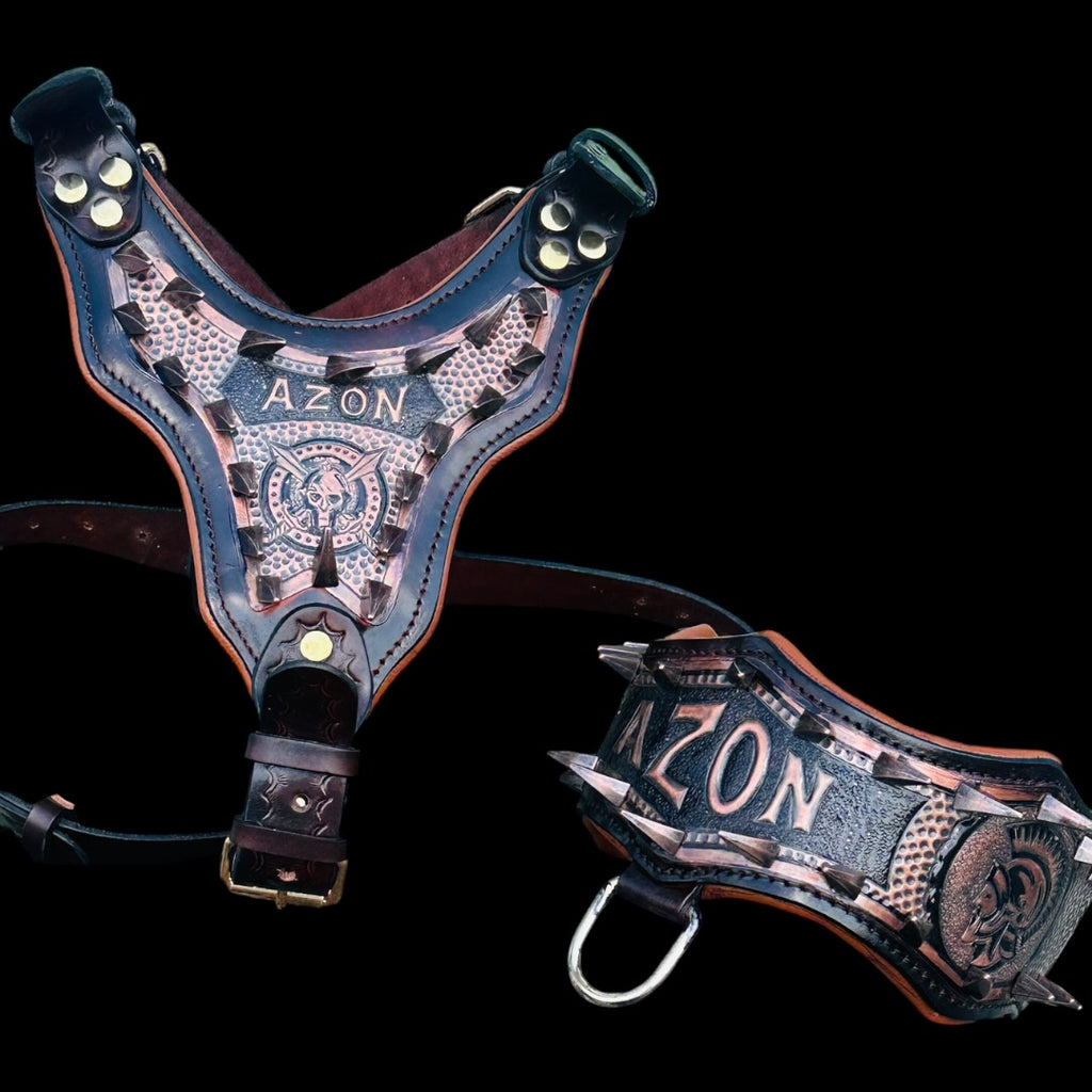 Handmade Copper Dog Collar & Harness Set