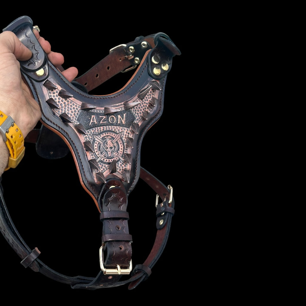 Handmade Copper Dog Collar & Harness Set