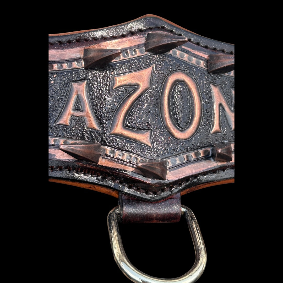 Handmade Copper Dog Collar & Harness Set