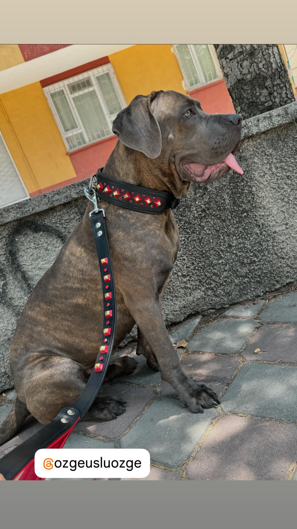 Handmade Black Leather Dog Collar & Leash Set with Red Crystal Stones – Luxury Wide Design