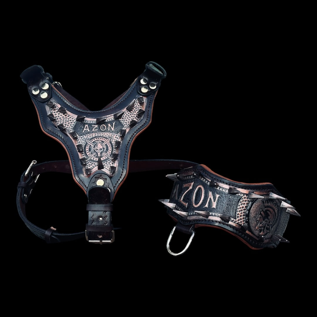 Handmade Copper Dog Collar & Harness Set