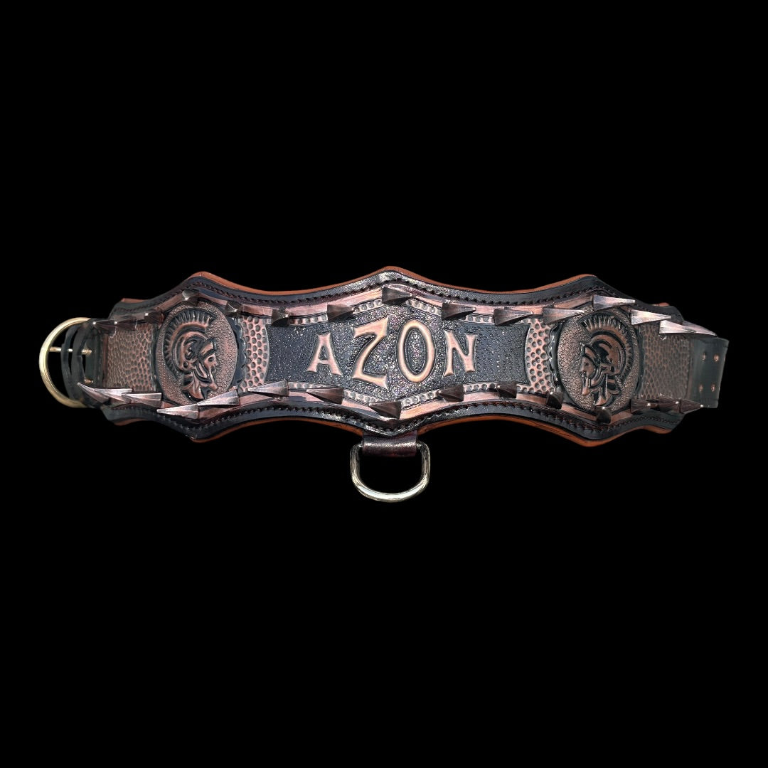 Handmade Copper Dog Collar & Harness Set
