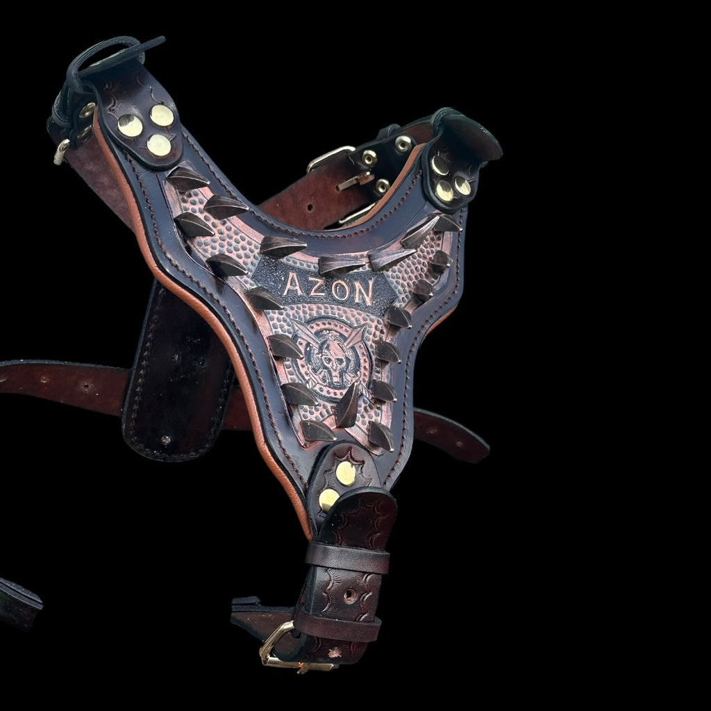 Handmade Copper Dog Collar & Harness Set