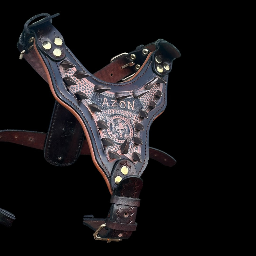Handmade Copper Dog Collar & Harness Set