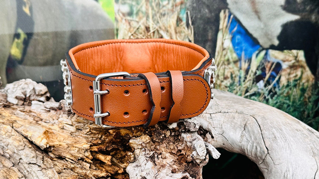 9303849a-0754-434f-a770-7f3a434a402d