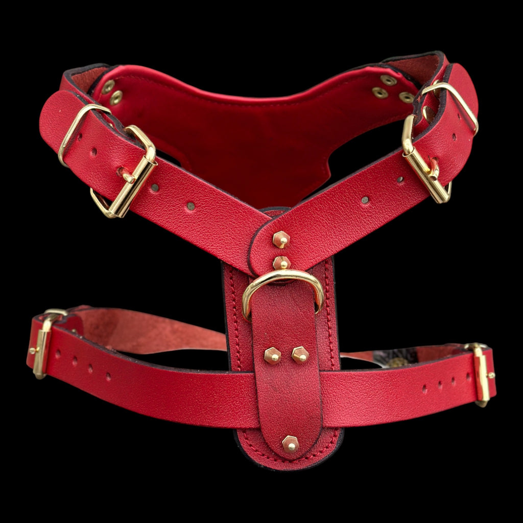 InfernoSkull™ Royale – Red Buffalo Leather Dog Harness with Gold Skull Emblem