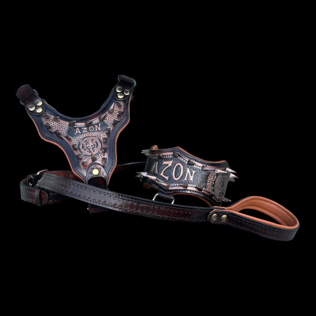 Handmade Copper Dog Collar & Harness Set