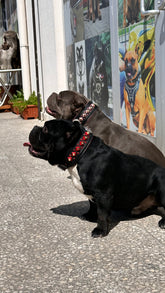 Handmade Black Leather Dog Collar & Leash Set with Red Crystal Stones – Luxury Wide Design - A&C Dog Collars