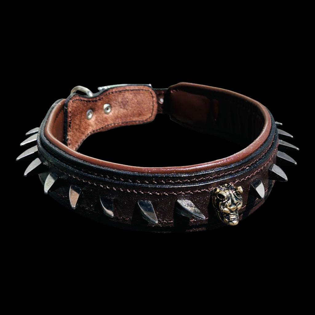 Handmade American Bully head leather dog collar with ivory spikes