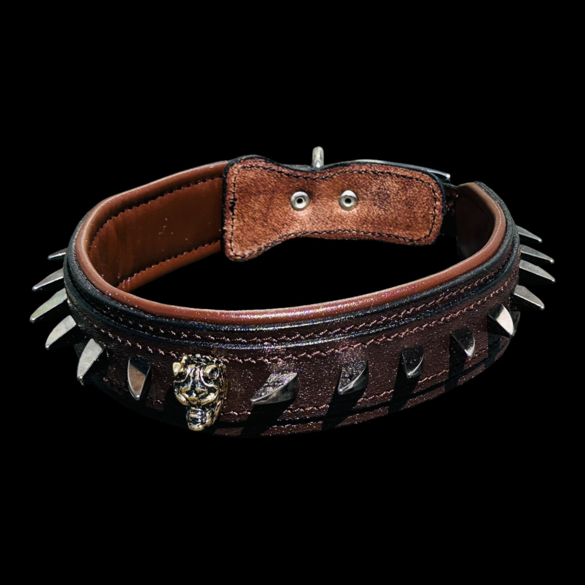 Handmade American Bully head leather dog collar with ivory spikes