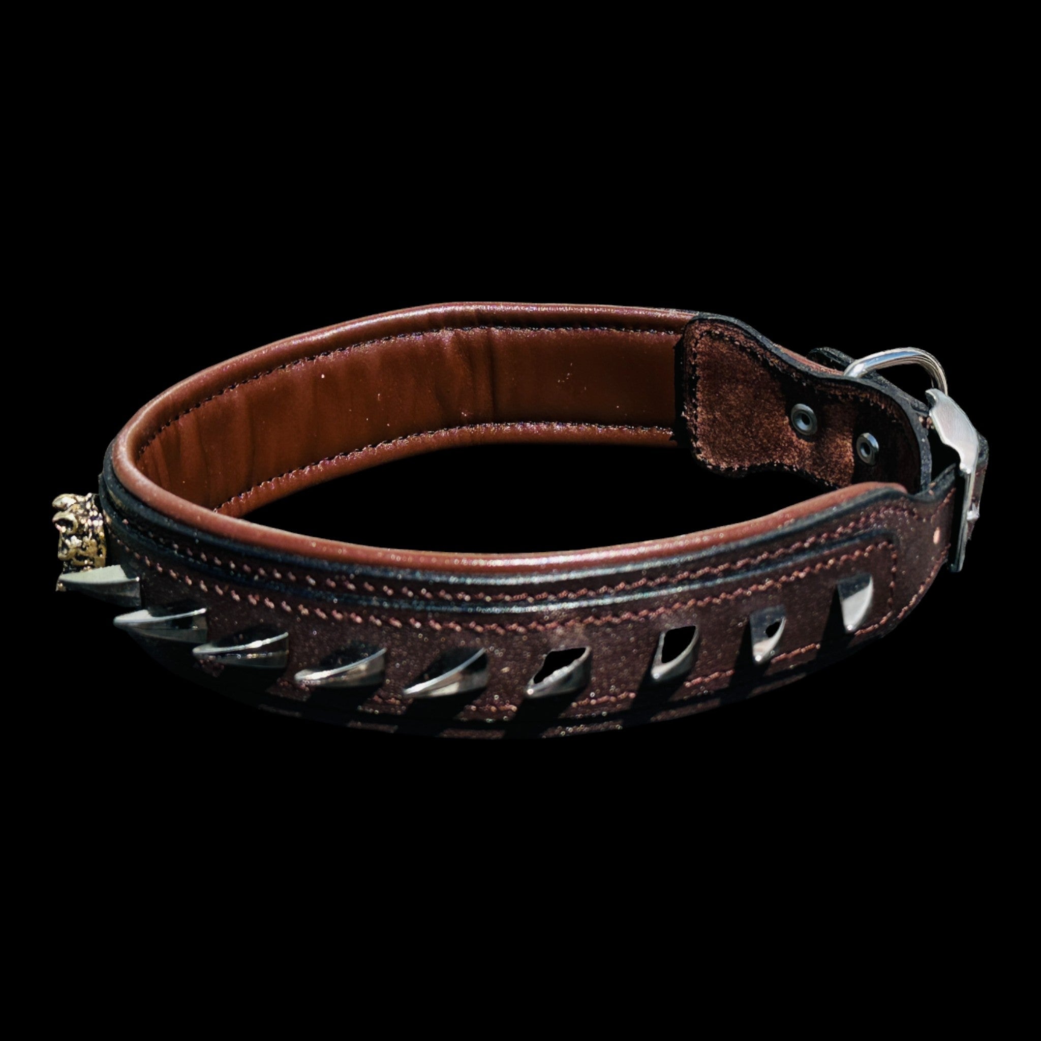 Handmade American Bully head leather dog collar with ivory spikes