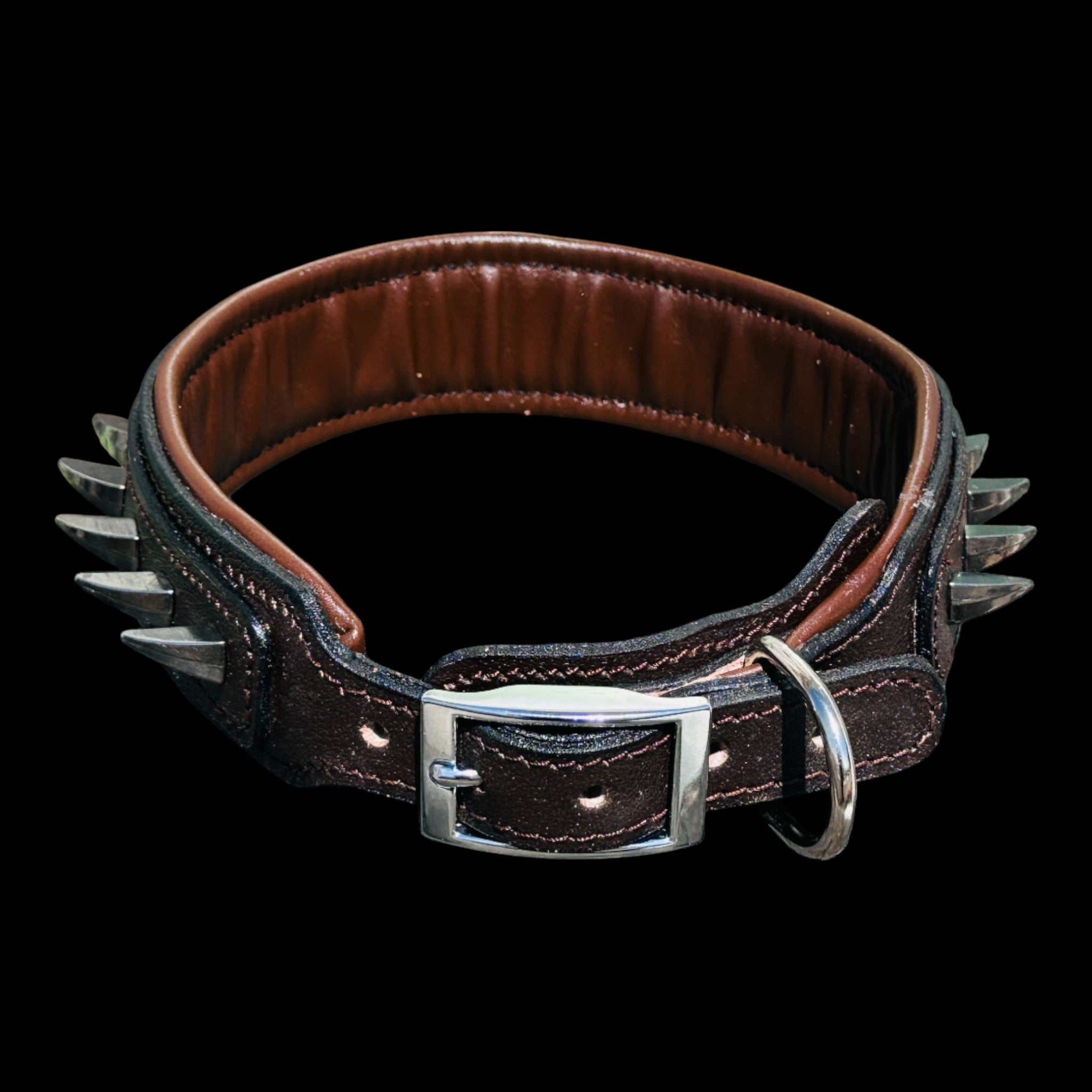 Handmade American Bully head leather dog collar with ivory spikes