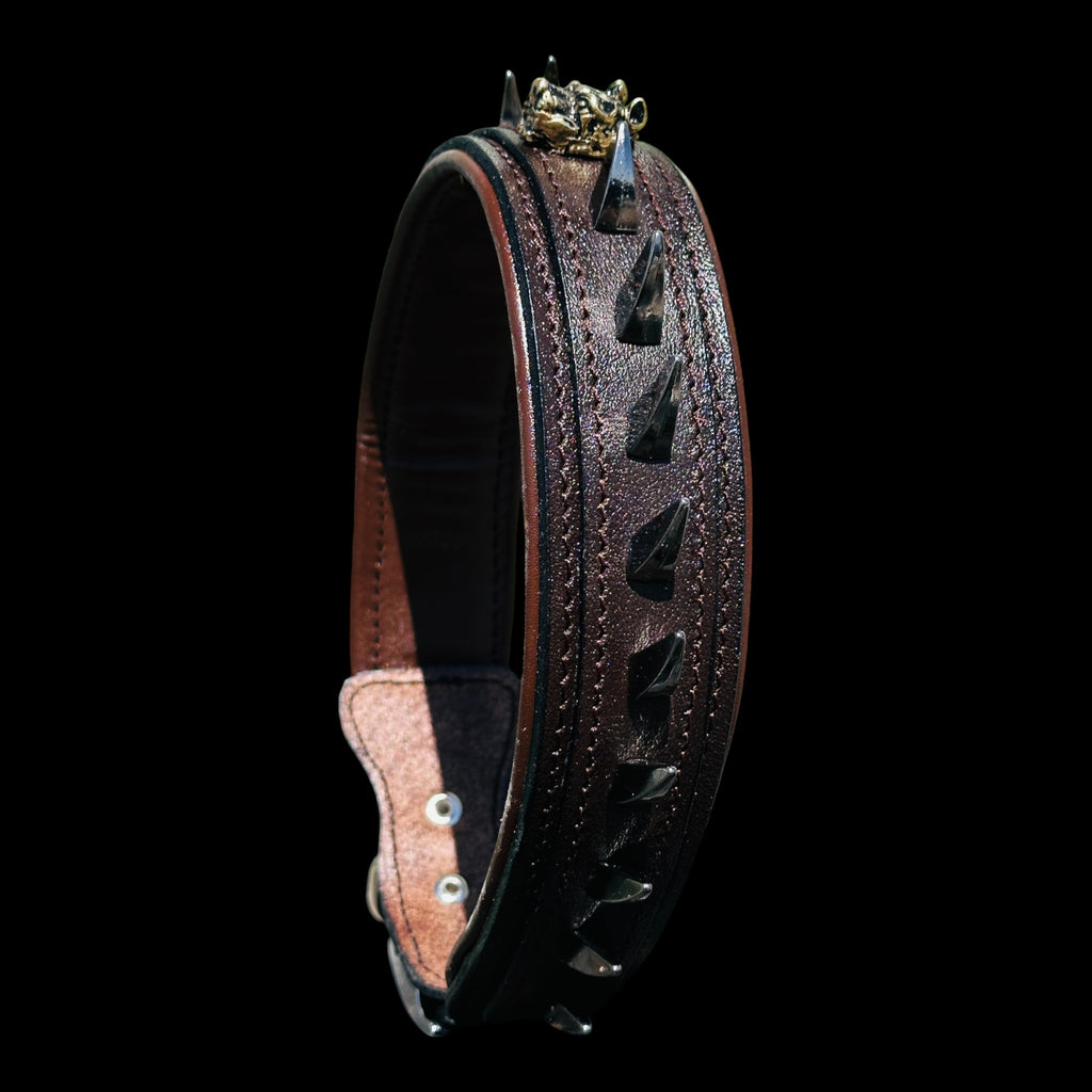 Handmade American Bully head leather dog collar with ivory spikes