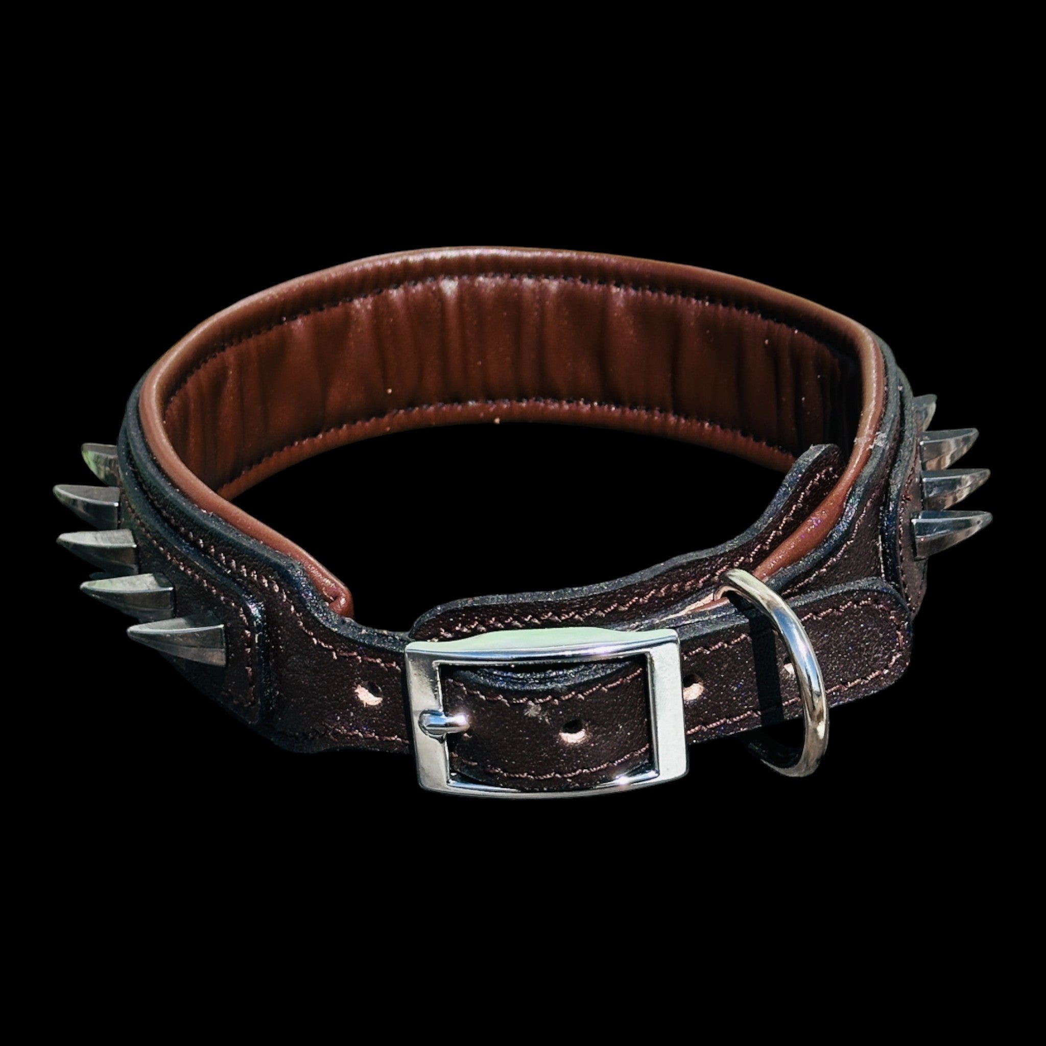 Handmade American Bully head leather dog collar with ivory spikes