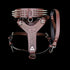 Handmade Spiked Dog Collar, Harness & Leash Set – Buffalo Leather for Large Breeds - A&C Dog Collars