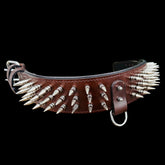 Handmade Spiked Dog Collar, Harness & Leash Set – Buffalo Leather for Large Breeds - A&C Dog Collars