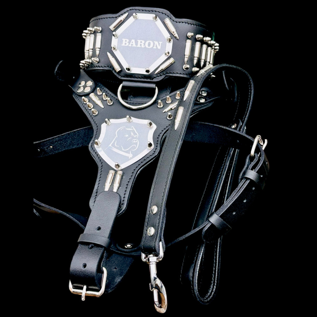 Custom Name Dog Harness Set – Handmade Black Leather Spiked Collar, Harness & Leash