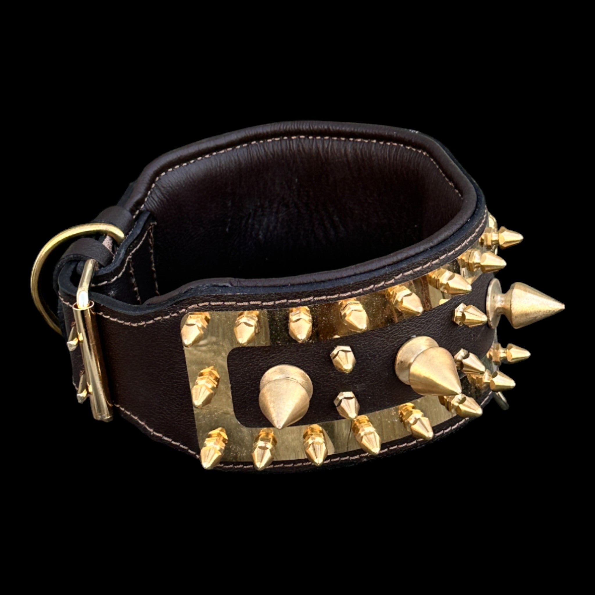Golden Punisher Elite Dog Collar