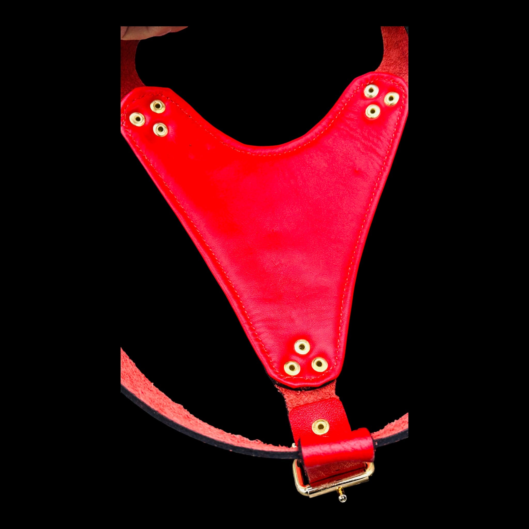 Handmade Red Leather Dog Harness with Punisher Logo