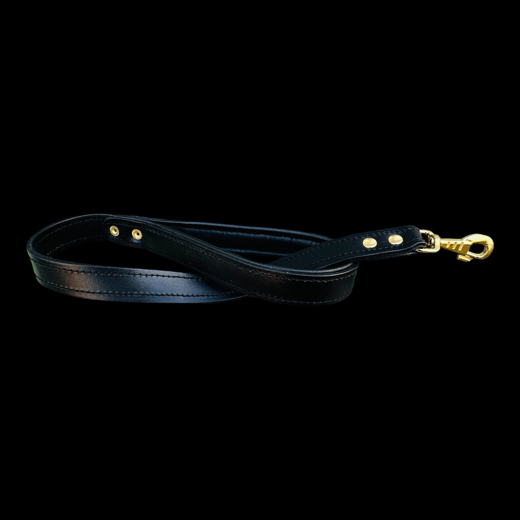 Personalized strong breed dog collar with spikes
