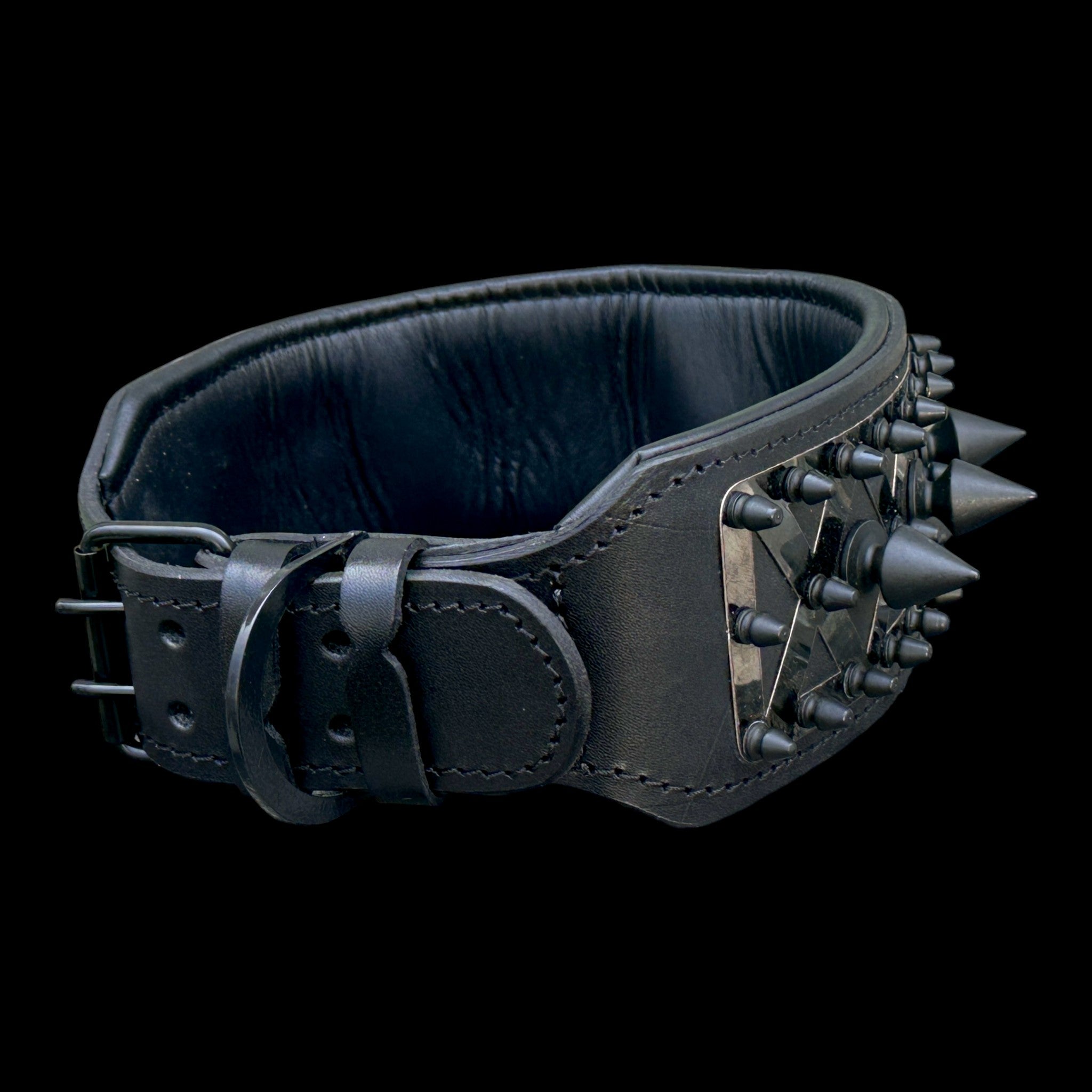 A Premium Black Leather Dog Collar with Punisher Logo – Spiked Heavy Duty for Large Breeds
