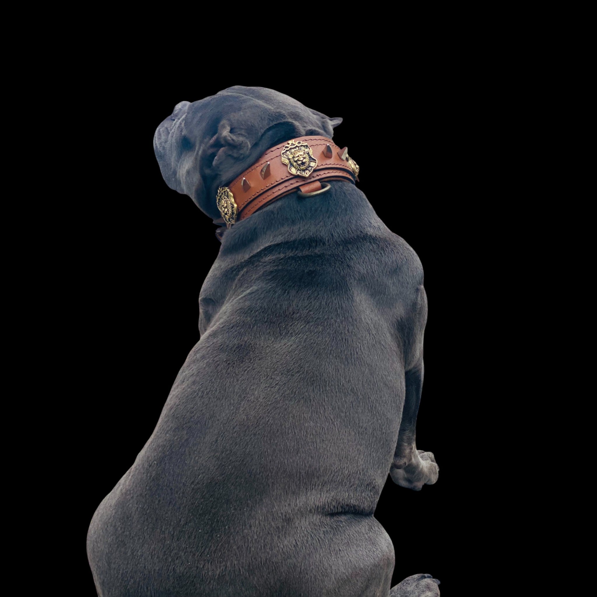 Handmade lion emblem leather dog collar for large breeds