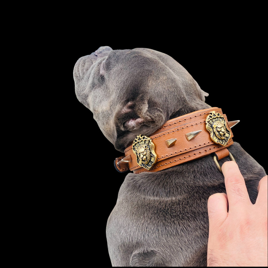 Handmade lion emblem leather dog collar for large breeds