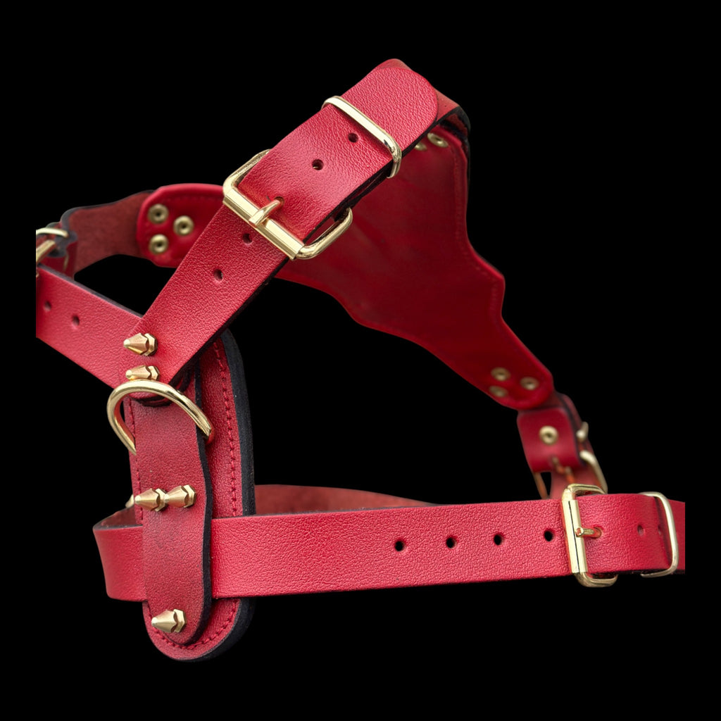 InfernoSkull™ Royale – Red Buffalo Leather Dog Harness with Gold Skull Emblem
