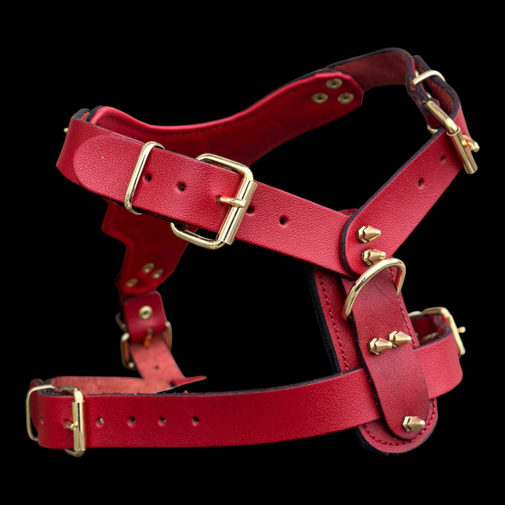 InfernoSkull™ Royale – Red Buffalo Leather Dog Harness with Gold Skull Emblem