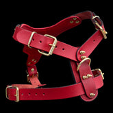 InfernoSkull™ Royale – Red Buffalo Leather Dog Harness with Gold Skull Emblem - A&C Dog Collars