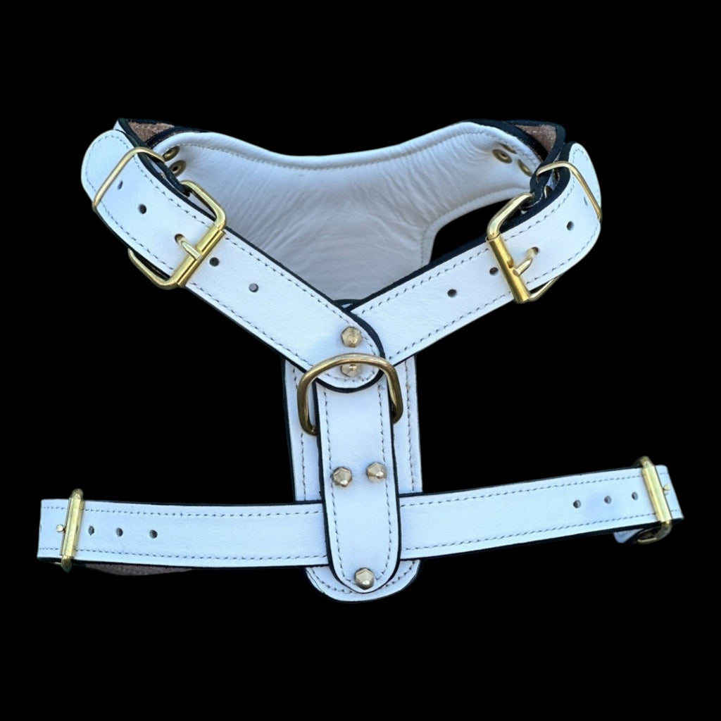 A&C Dog Collars beyaz deri, altın metal detaylı ve çivili süslemeli şık UFC temalı köpek göğüs tasması