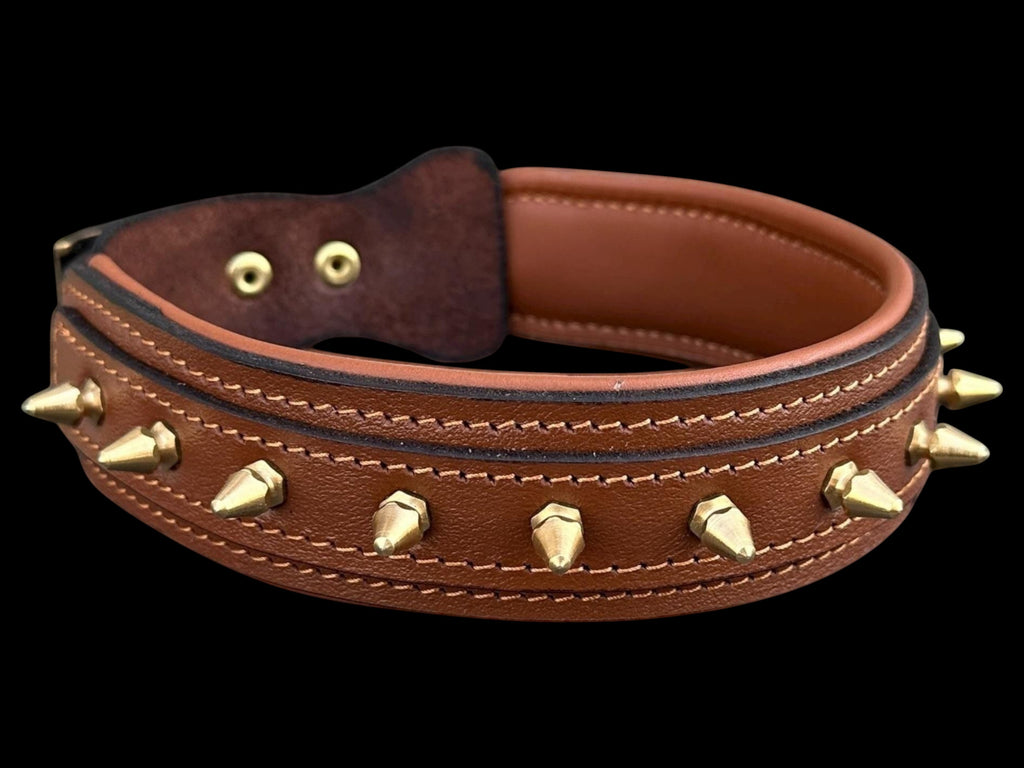A&C Dog Collars brown buffalo leather dog collar featuring polished gold spikes and soft padding for large breeds.