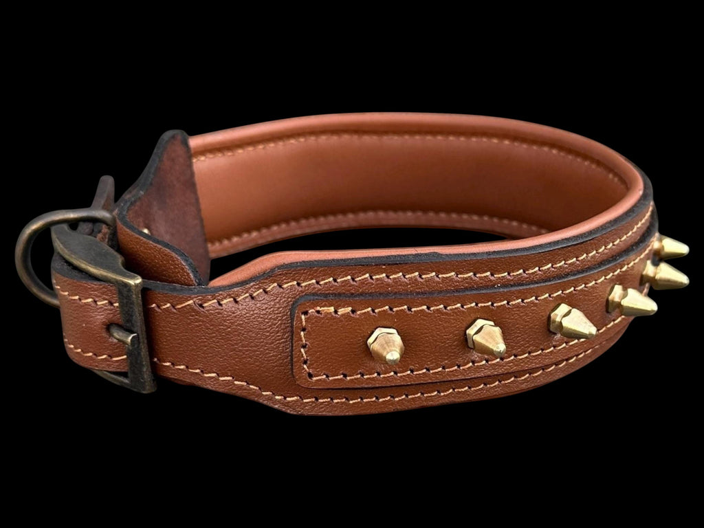 A&C Dog Collars brown buffalo leather dog collar with gold spikes, padded interior, and heavy-duty buckle.