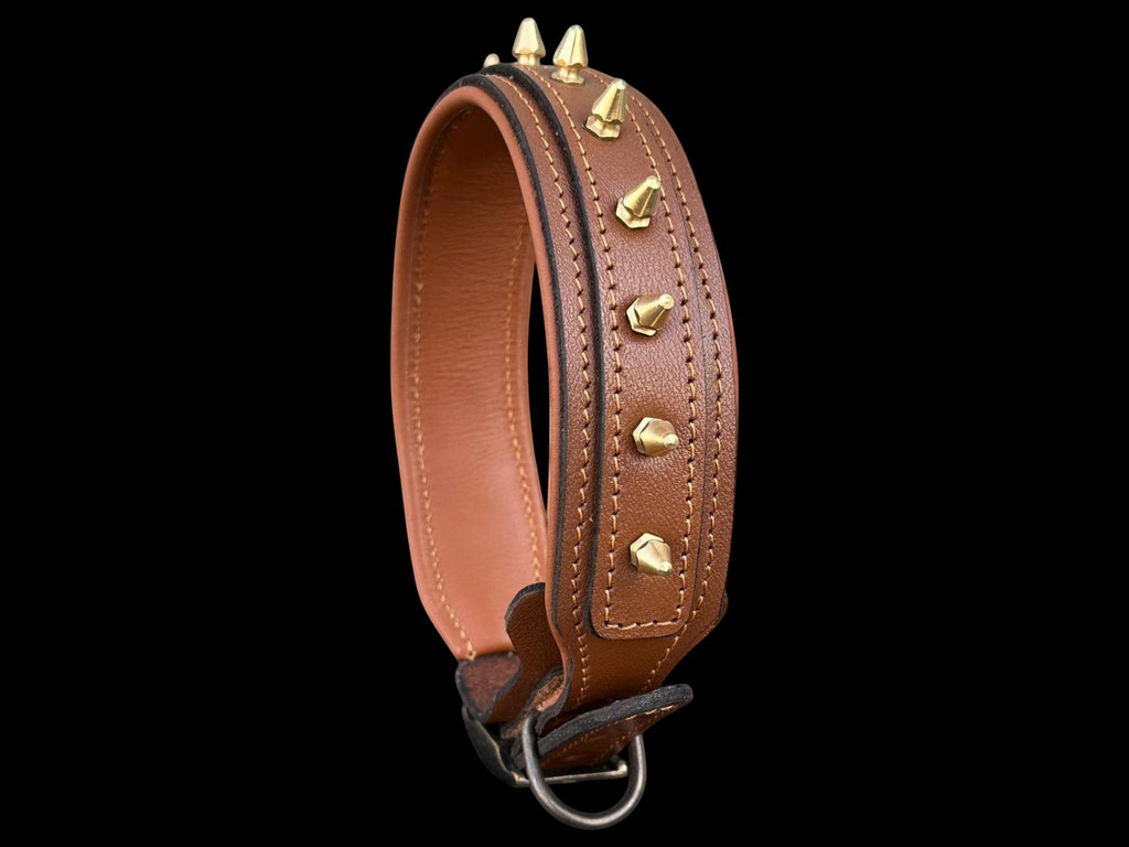 A&C Dog Collars brown buffalo leather dog collar with polished gold spikes and soft padded interior on black background