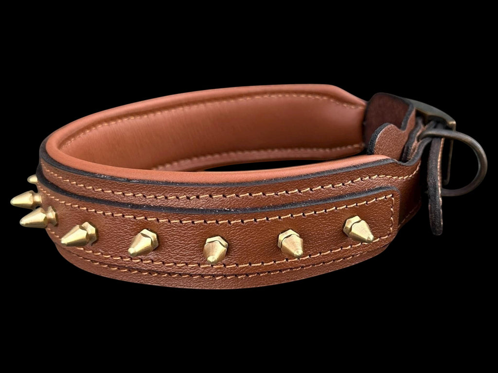 A&C Dog Collars brown buffalo leather dog collar with polished gold spikes and soft padded interior for large breeds.