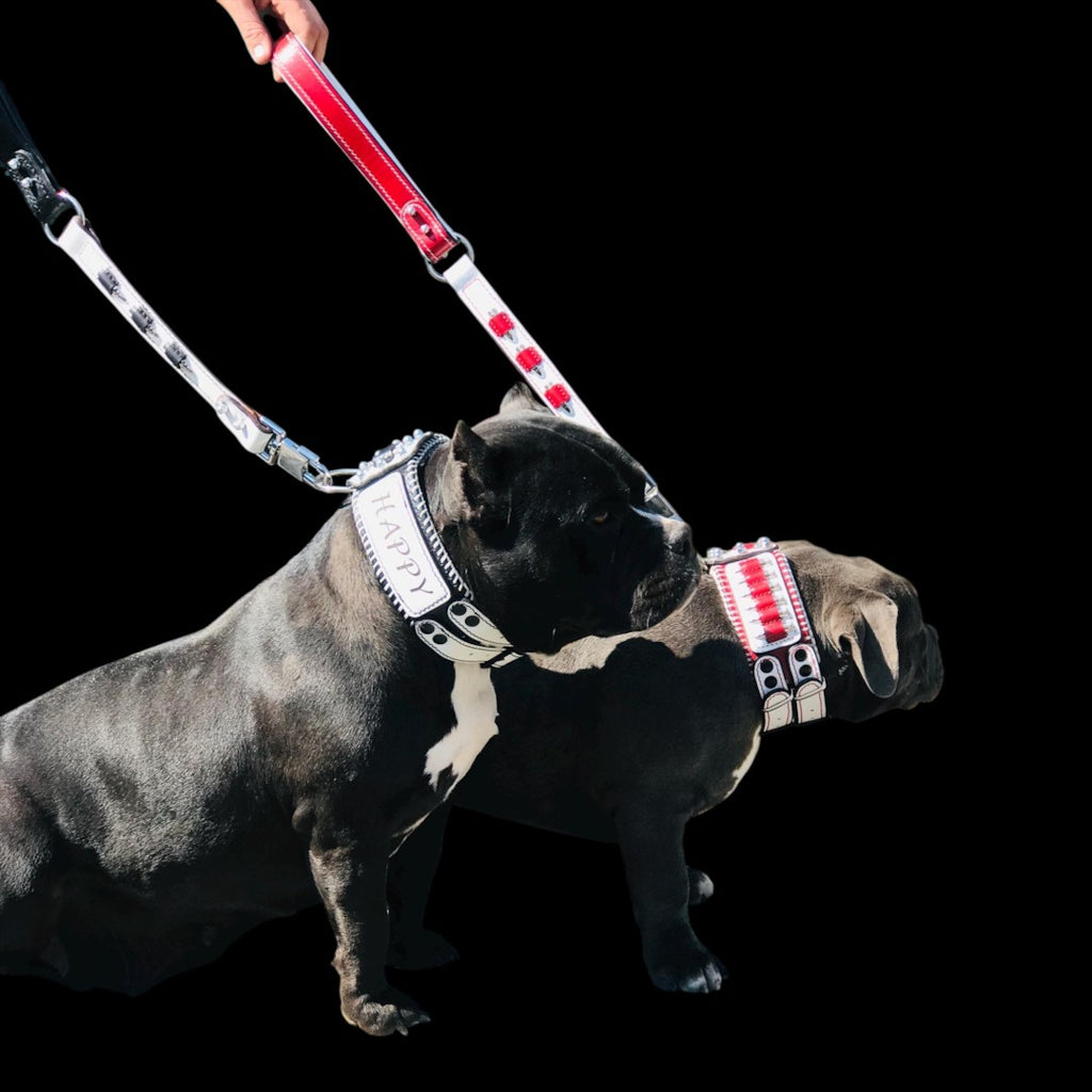 A&C Dog Collars handmade buffalo leather collar and leash set with bullet accents on two muscular dogs