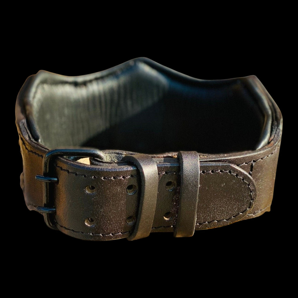 A&C Dog Collars handcrafted buffalo leather dog collar with padded lining and sturdy buckle for large breeds.