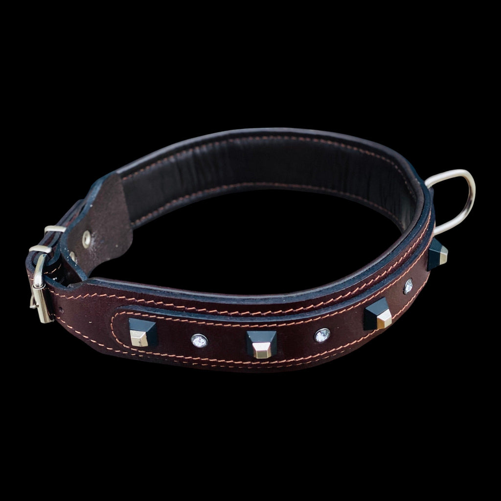 A&C Dog Collars marka, siyah küp çivili ve kristal taşlı, dolgulu astarlı koyu kahverengi manda derisi köpek tasması.