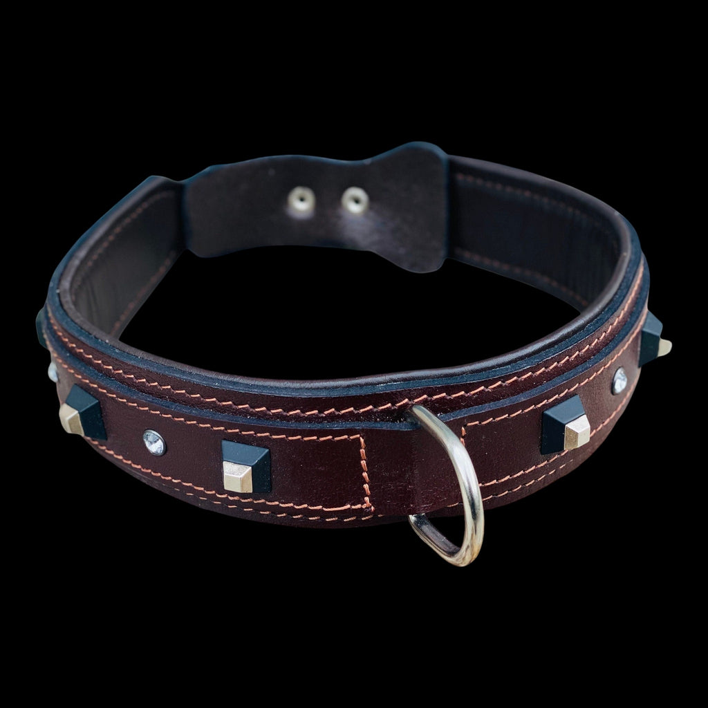 A&C Dog Collars koyu kahverengi manda derisi köpek tasması, siyah küp çiviler ve kristal taş detaylı, dolgulu iç astar.