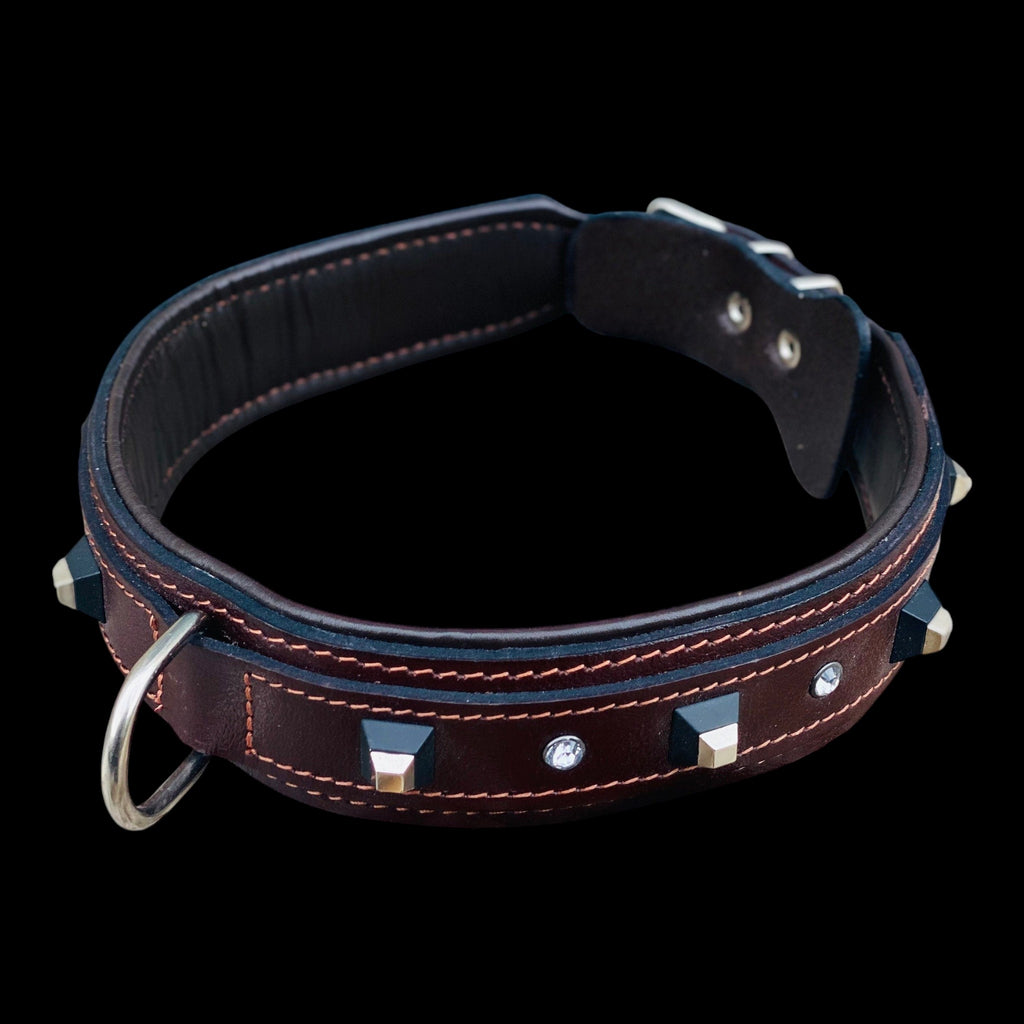 A&C Dog Collars koyu kahverengi manda derisi köpek tasması, siyah küp zımbalar ve kristal taş detaylı, dolgulu iç yüzey