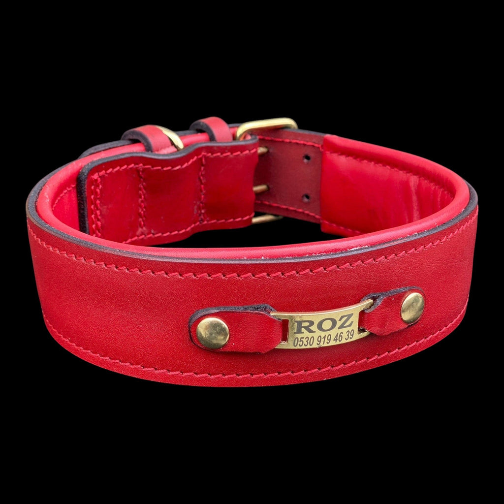 A&C Dog Collars kırmızı manda derisi geniş köpek tasması, pirinç isimlikli ve yumuşak dolgulu, büyük ırklar için.