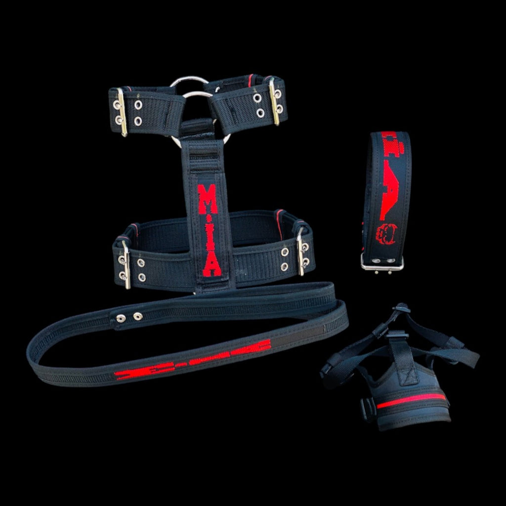 A&C Dog Collars kişiselleştirilmiş siyah naylon köpek göğüs tasması, tasma ve kayış seti, kırmızı nakış detaylı.
