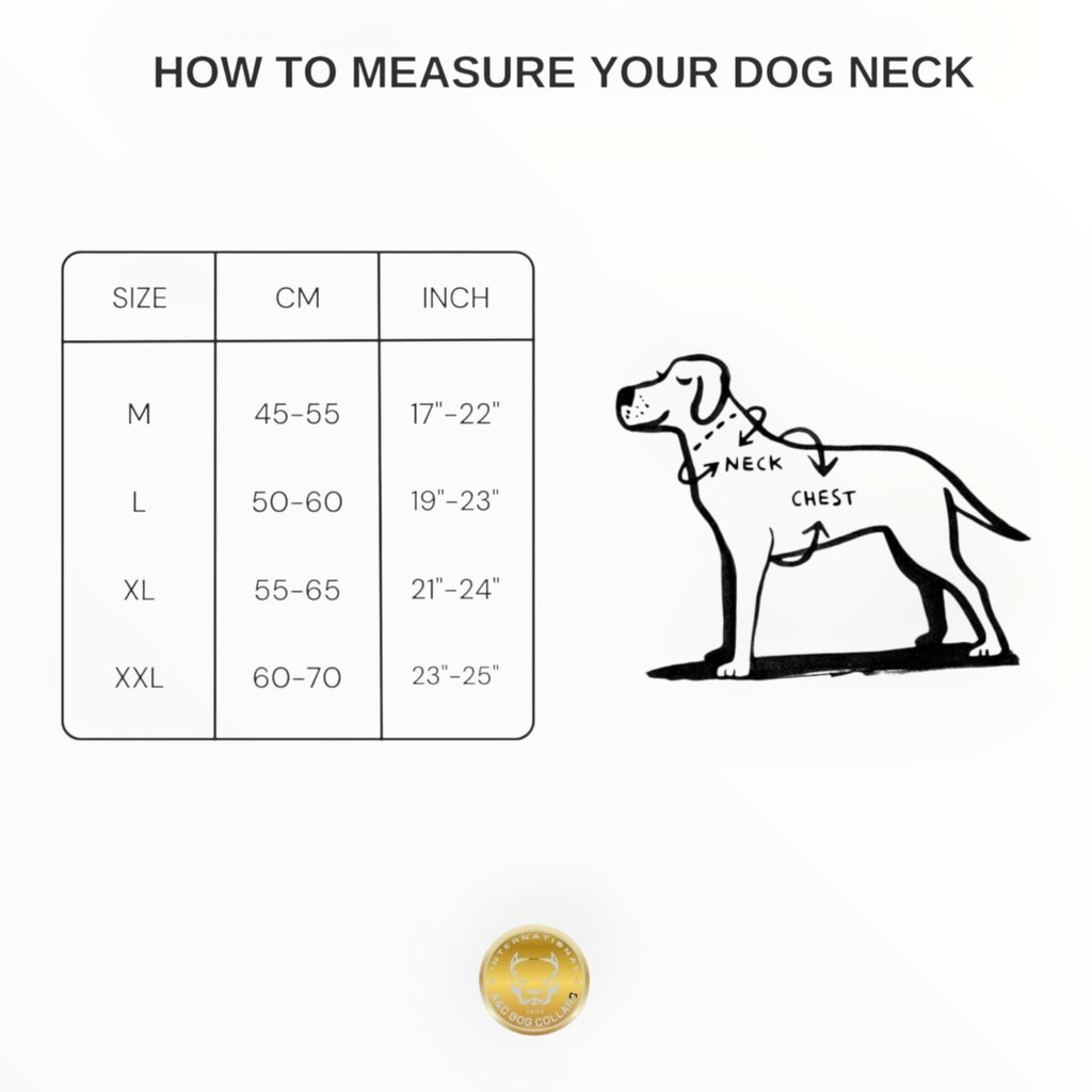 A&C Dog Collars köpek boyun ölçüsü belirleme tablosu ve rehber çizimi