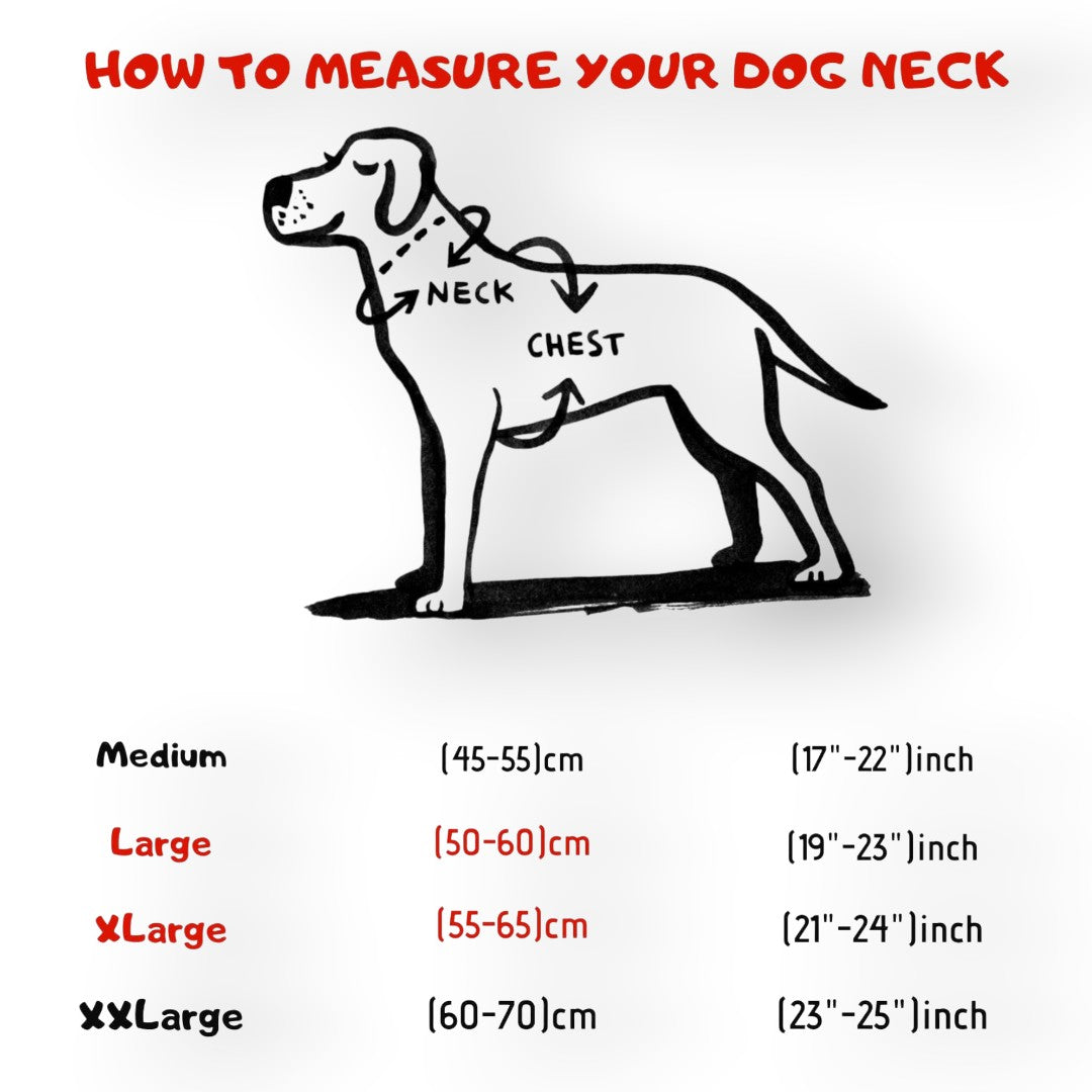 A&C Dog Collars köpek boyun ve göğüs ölçüm rehberi görseli, büyük ırk köpekler için beden tablosu