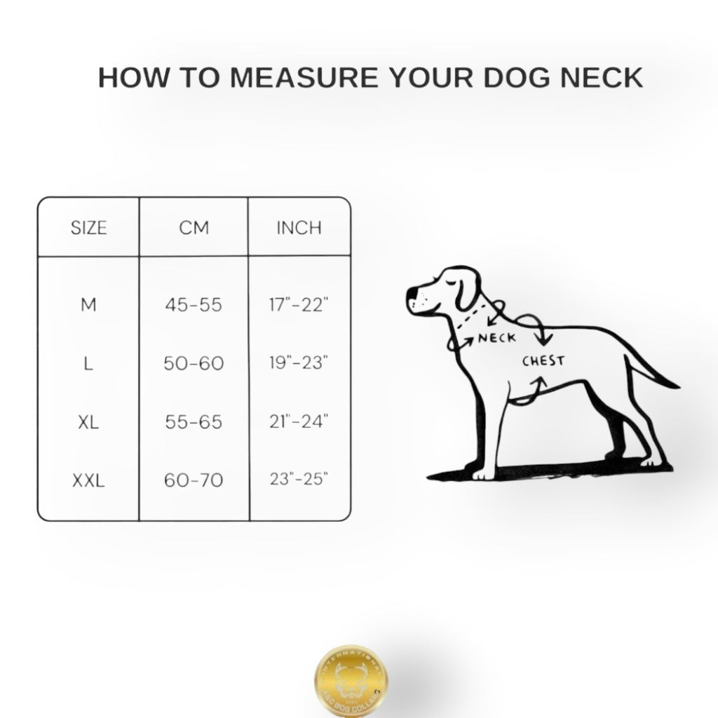 A&C Dog Collars köpek tasması beden ölçüm tablosu, büyük ırklar için boyun ölçüsü rehberi